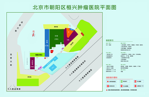 日批扣洞北京市朝阳区桓兴肿瘤医院平面图